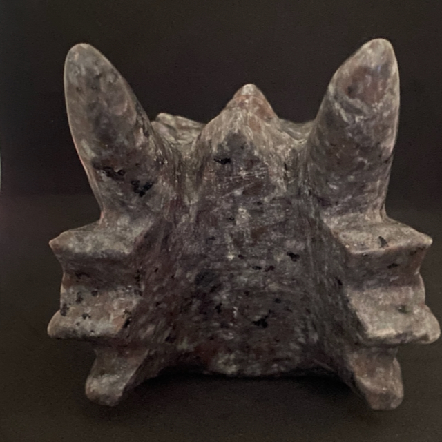 Tête Dragon Yooperlite vue de derrière en lumière naturelle, pierre grise texturée